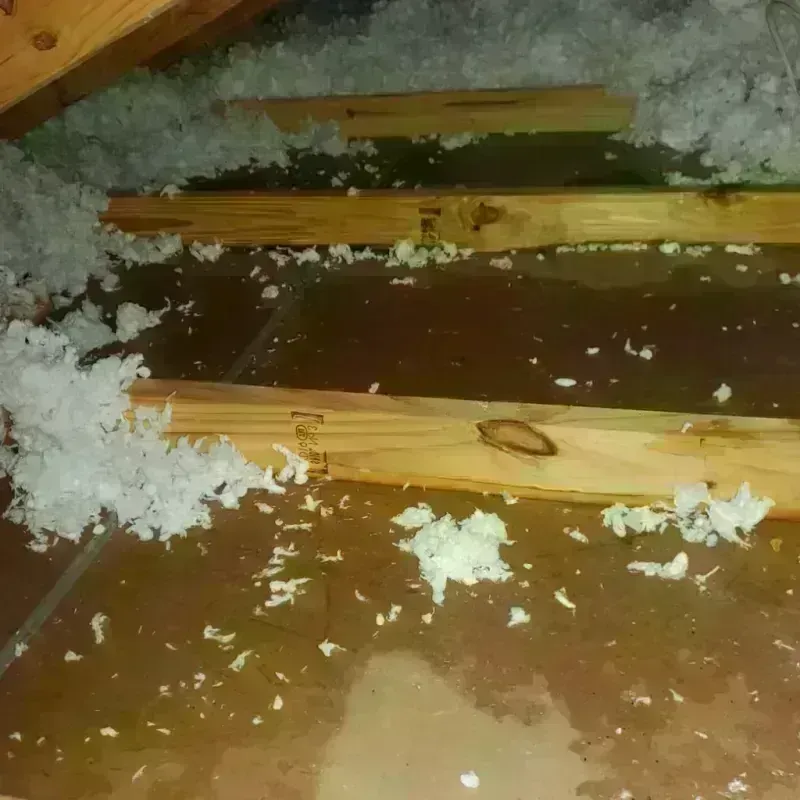 Attic Water Damage in Arapahoe, WY