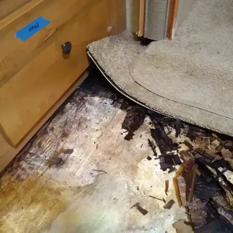 Wood Floor Water Damage in Arapahoe, WY